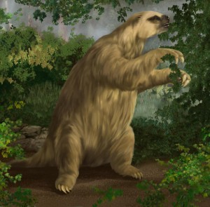 The Megalonxy, or Great ground Sloth, extinct. 